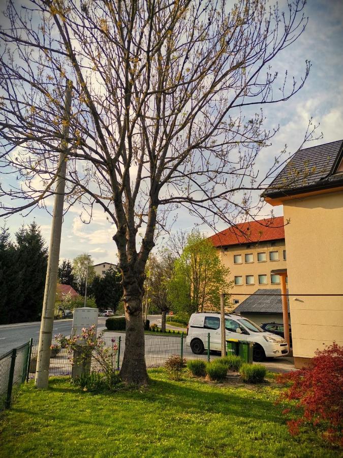 Apartma Vila Tara Prebold المظهر الخارجي الصورة