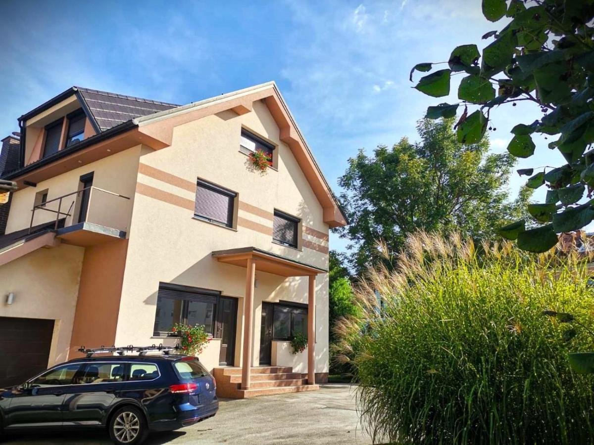 Apartma Vila Tara Prebold المظهر الخارجي الصورة