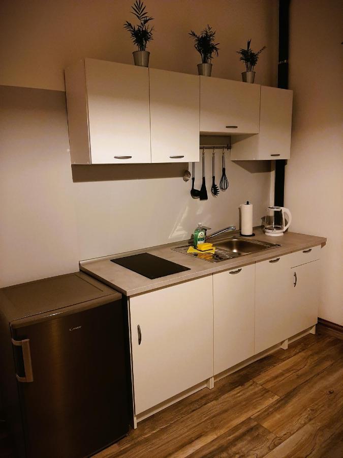 Apartma Vila Tara Prebold المظهر الخارجي الصورة